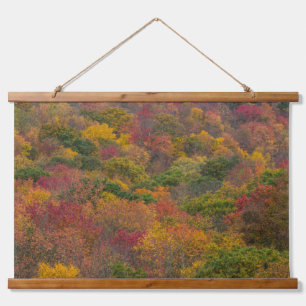 Hartwald in Randolph County, West Virginia Wandteppich Mit Holzrahmen