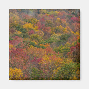 Hartwaldzone in Randolph County, West Virginia Magnet