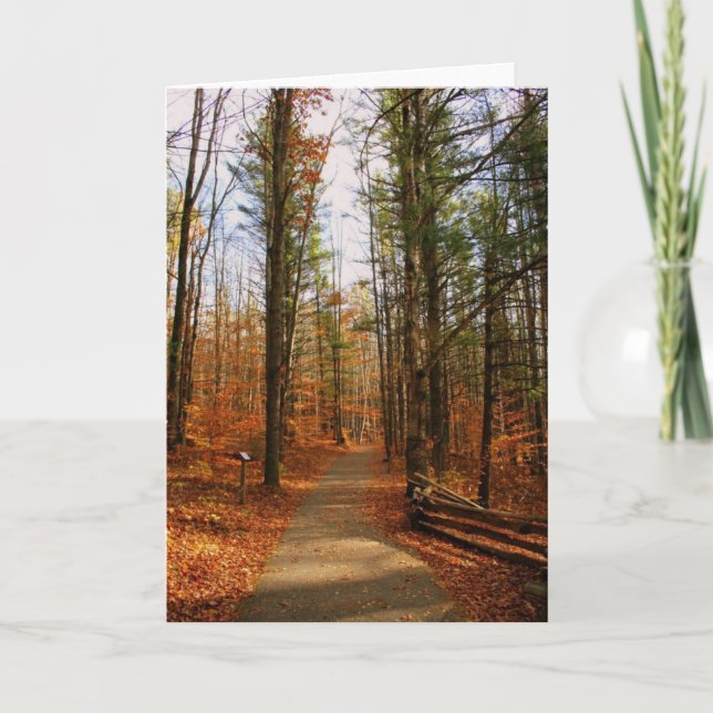 Hartwick Kiefern-Staats-Park im Fall Karte (Vorderseite)