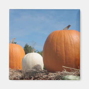 HARVEST ZEIT!!!! MAGNET
