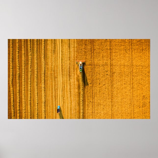 Harvester-Maschine im Feld. Harfen kombinieren Poster (Vorne)