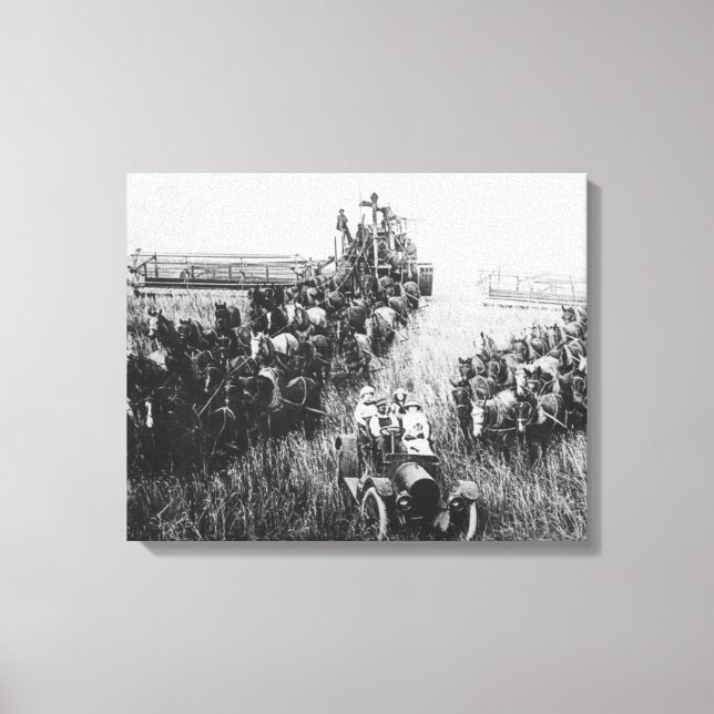 Harvester Scene kombinieren Leinwanddruck (Vorderseite)