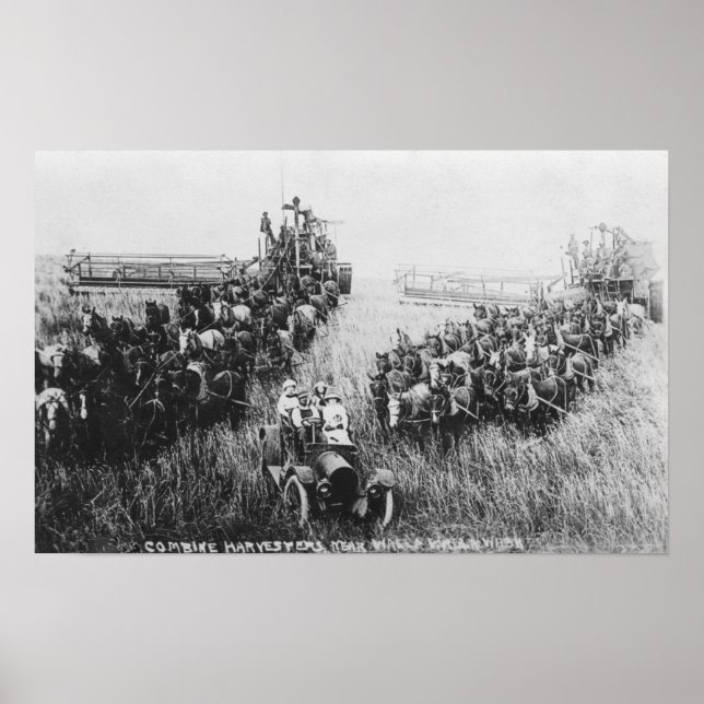 Harvester Scene kombinieren Poster (Vorne)