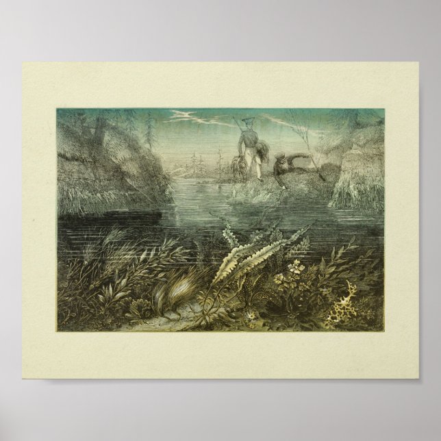 Harvesting Seaweed Explorers Color Art Print Poster (Vorne)