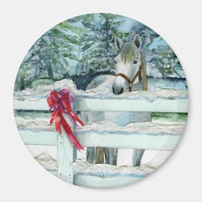 Harvey Magnet (Vorne)