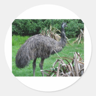 Harvey Runder Aufkleber