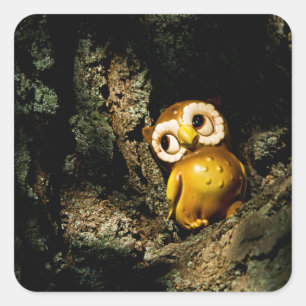 Harvey the Owl I Quadratischer Aufkleber