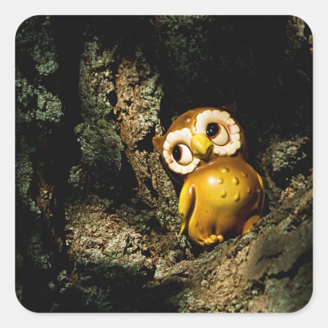 Harvey the Owl I Quadratischer Aufkleber (Vorderseite)