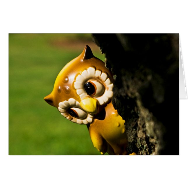 Harvey the Owl II (Vorderseite (Horizontal))