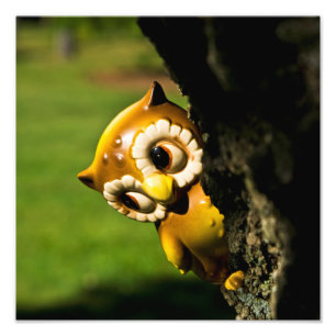 Harvey the Owl II Fotodruck