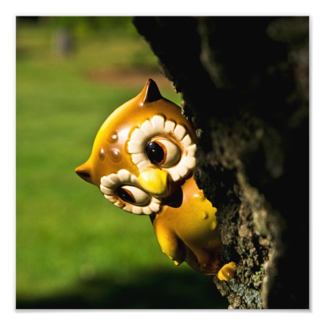 Harvey the Owl II Fotodruck (Vorne)