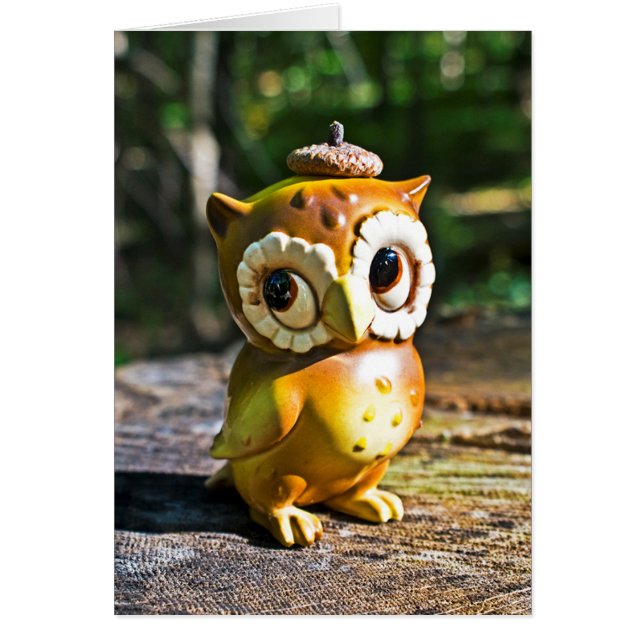 Harvey the Owl III (Vorne)