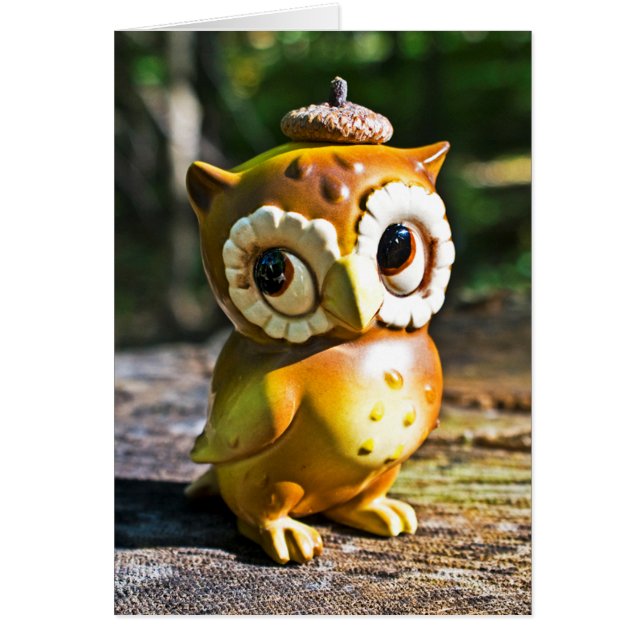 Harvey the Owl III (Vorne)