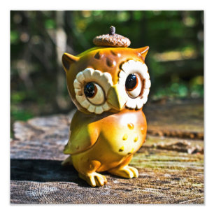 Harvey the Owl III Fotodruck