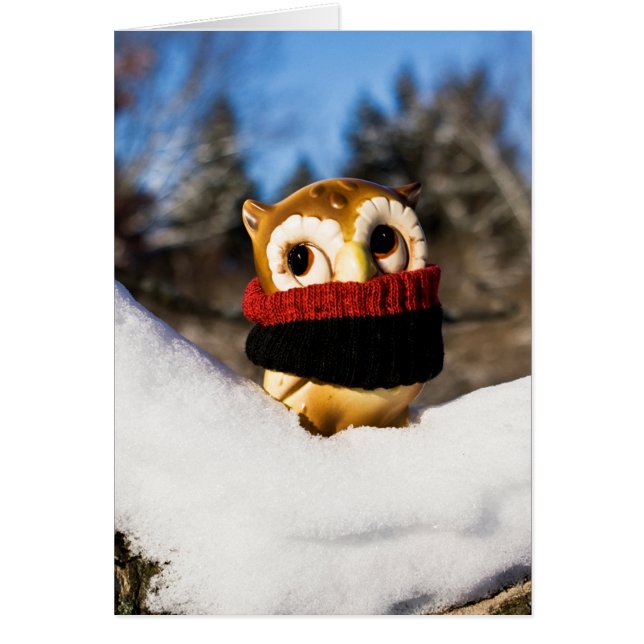 Harvey the Owl IV (Vorne)