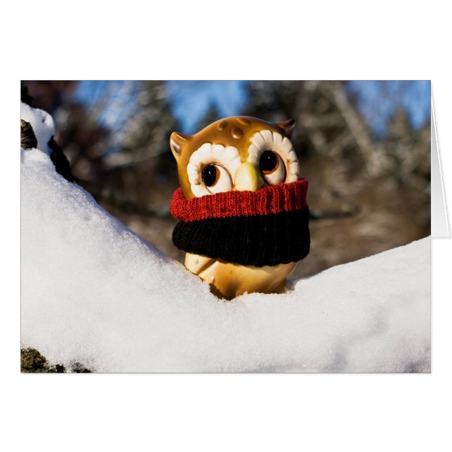 Harvey the Owl IV (Vorderseite (Horizontal))