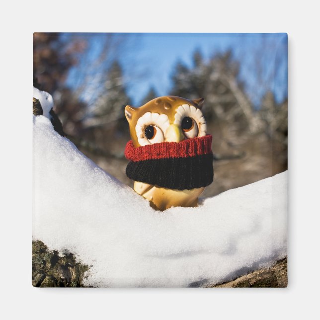 Harvey the Owl IV Magnet (Vorne)