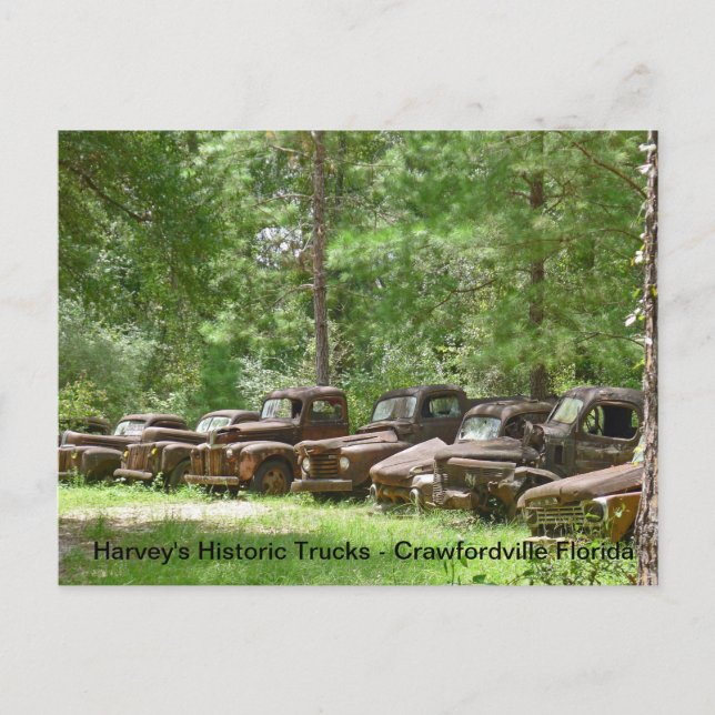 Harvey's Historic Truck Display - Crawfordville FL Postkarte (Vorderseite)