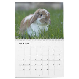 Häschen 2016 - 12 Monate niedliche Kalender
