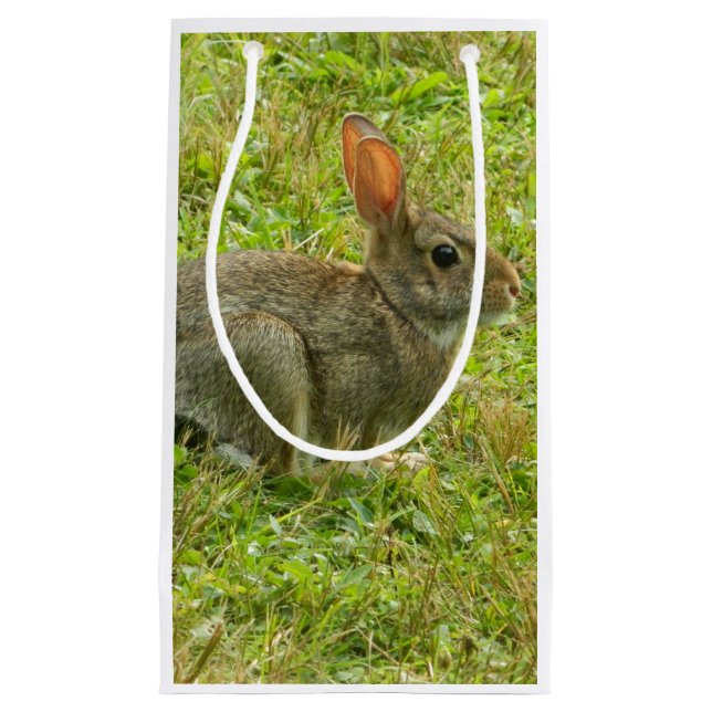 Häschen-Geschenk-Tasche Kleine Geschenktüte (Vorderseite)