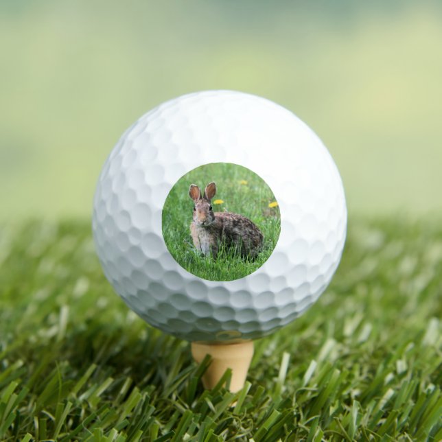 Häschen Golfball (Insitu T-Shirt)