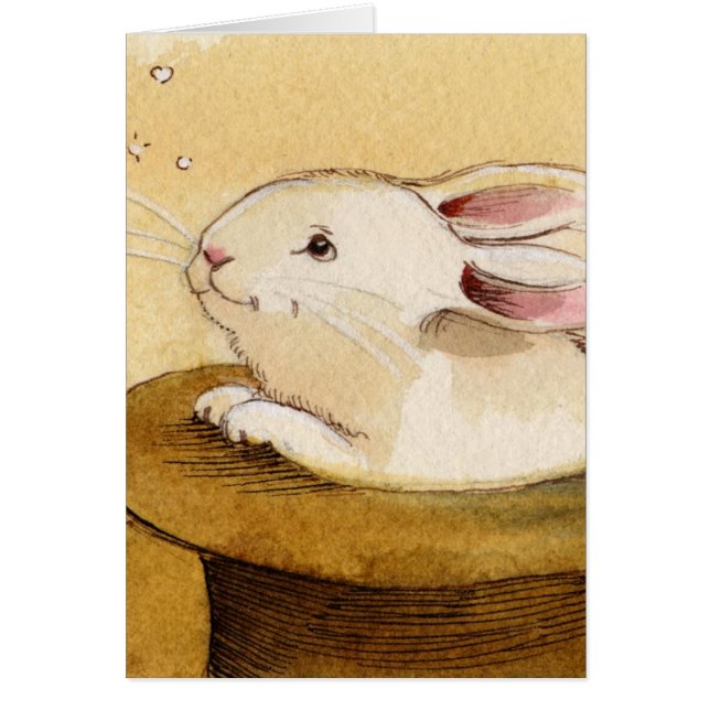 Häschen im magischen Hut (Vorne)