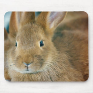 Häschen Mousepad