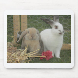 Häschen Mousepad