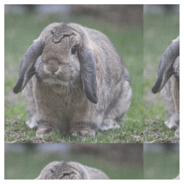 Häschen Stoff (Nahaufnahme)