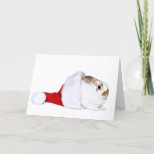 Häschen-Weihnachten Feiertagskarte