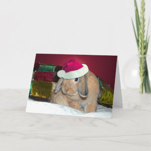 Häschen-Weihnachtskarte 1 Schmierölniederdrucks Feiertagskarte