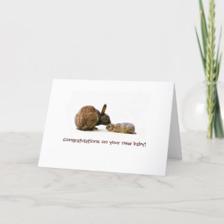 Häschenmutter u. Baby - neue Babykarte Karte