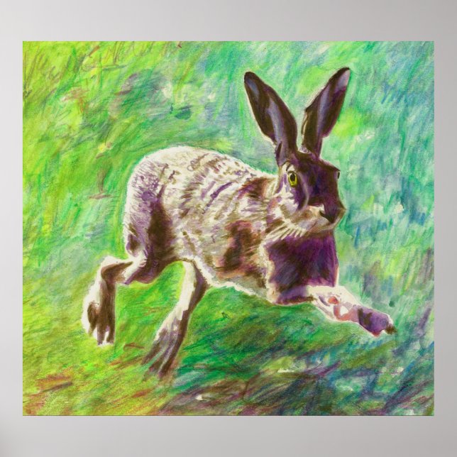 Hase 2011 poster (Vorne)