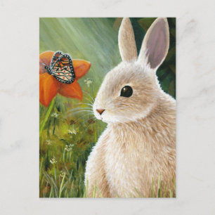 Hase 55 Postkarte