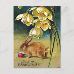 Hase, Eier und Schneeglöckchen, Vintage 1910 Postkarte