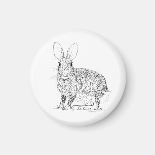 Hase / Kaninchen Magnet