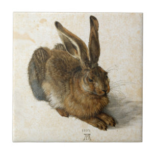 Hase, Kaninchen von Durer Vintage-Naturkunst aus d Fliese