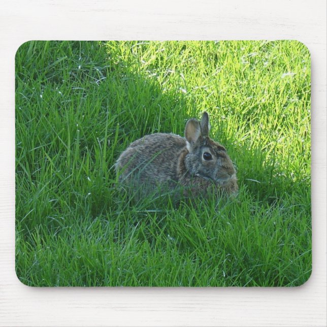 Hase Mousepad (Vorne)
