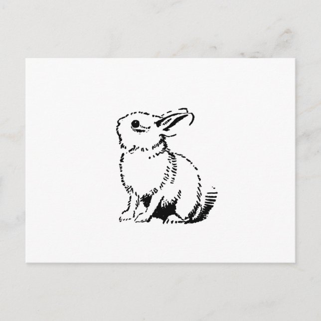 Hase Postkarte (Vorderseite)