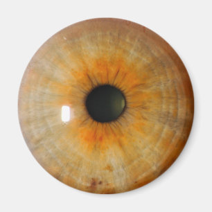 Haselauge mit Sommersprossen Magnet