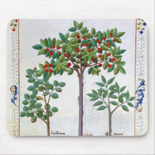 Haselnuss Bush und Kirschbaum Mousepad