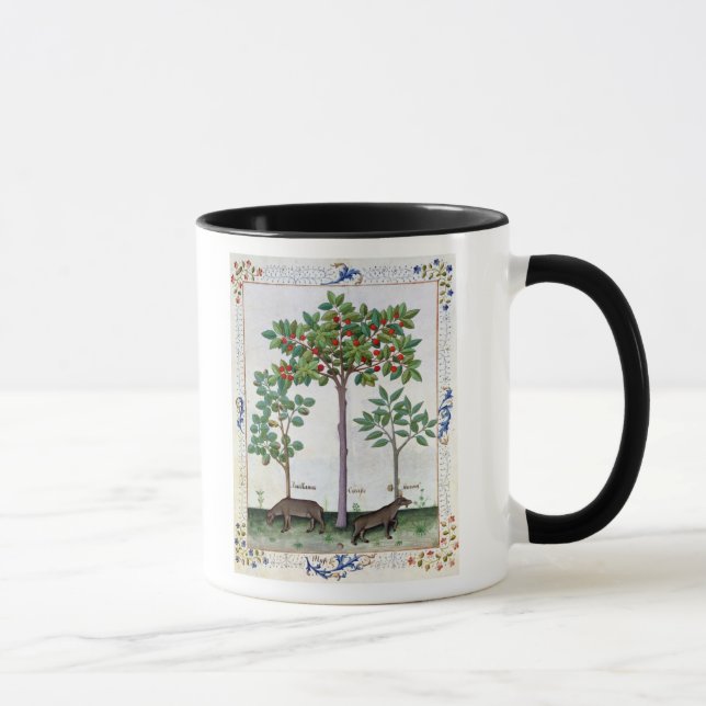 Haselnuss Bush und Kirschbaum Tasse (Rechts)