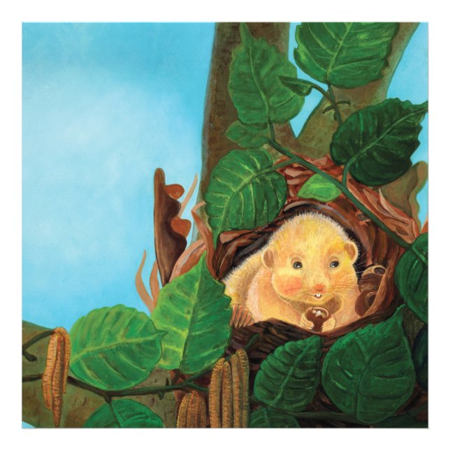 Haselnuss-Dormaus Fotodruck (Vorne)