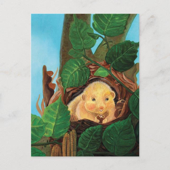 Haselnuss-Dormaus Postkarte (Vorderseite)