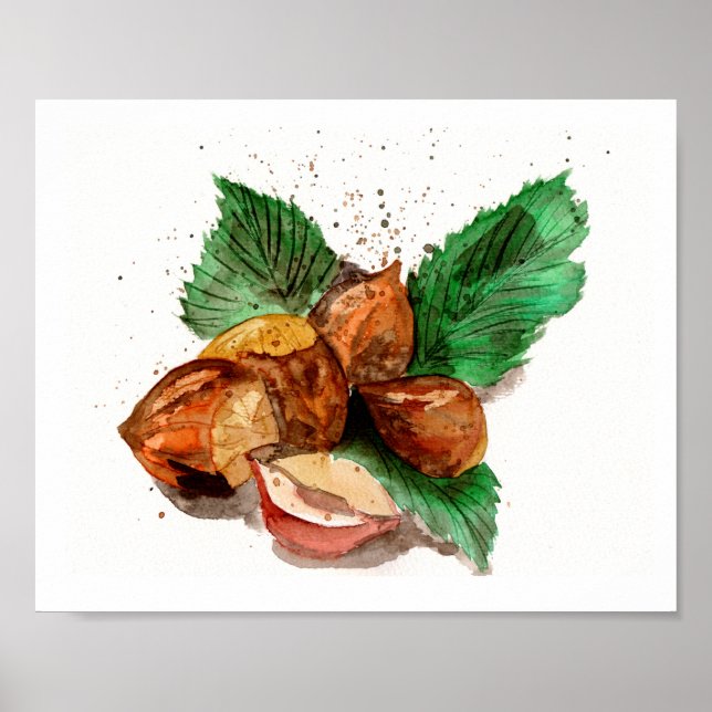 Haselnüsse Aquarell Poster (Vorne)
