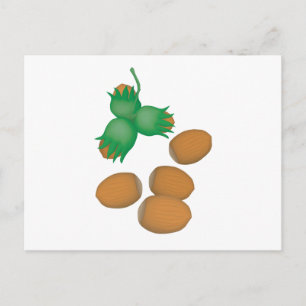 Haselnüsse Postkarte