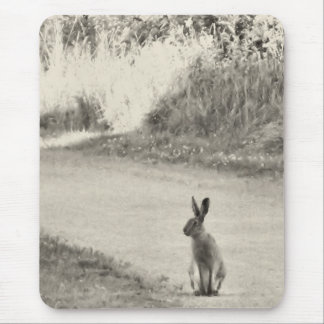 Hasen heute mousepad