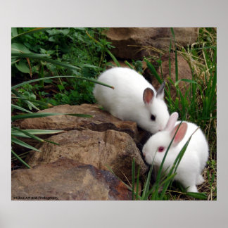 Hasenflüster Poster