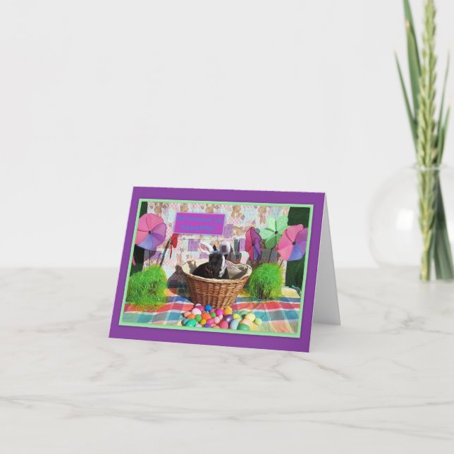 Hasenpfeffer (Vorderseite)