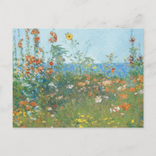 Hassams "Mohnblumen, Isle of Shoals" - Postkarte